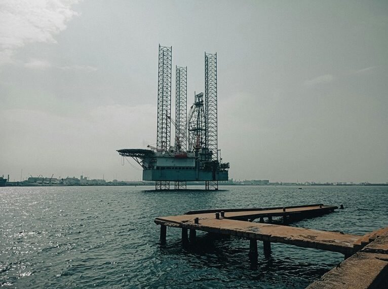 develop online business platform