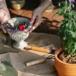 optimize growth with digital tools