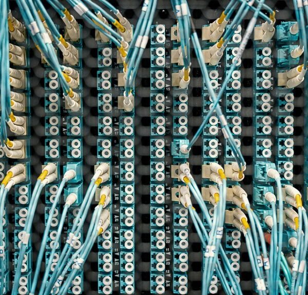 Cosmic Node Start 330-968-2971 Fueling Smart Lookup Networks