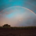 horizon arc start verification
