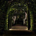 horizon gateway caller path shaping